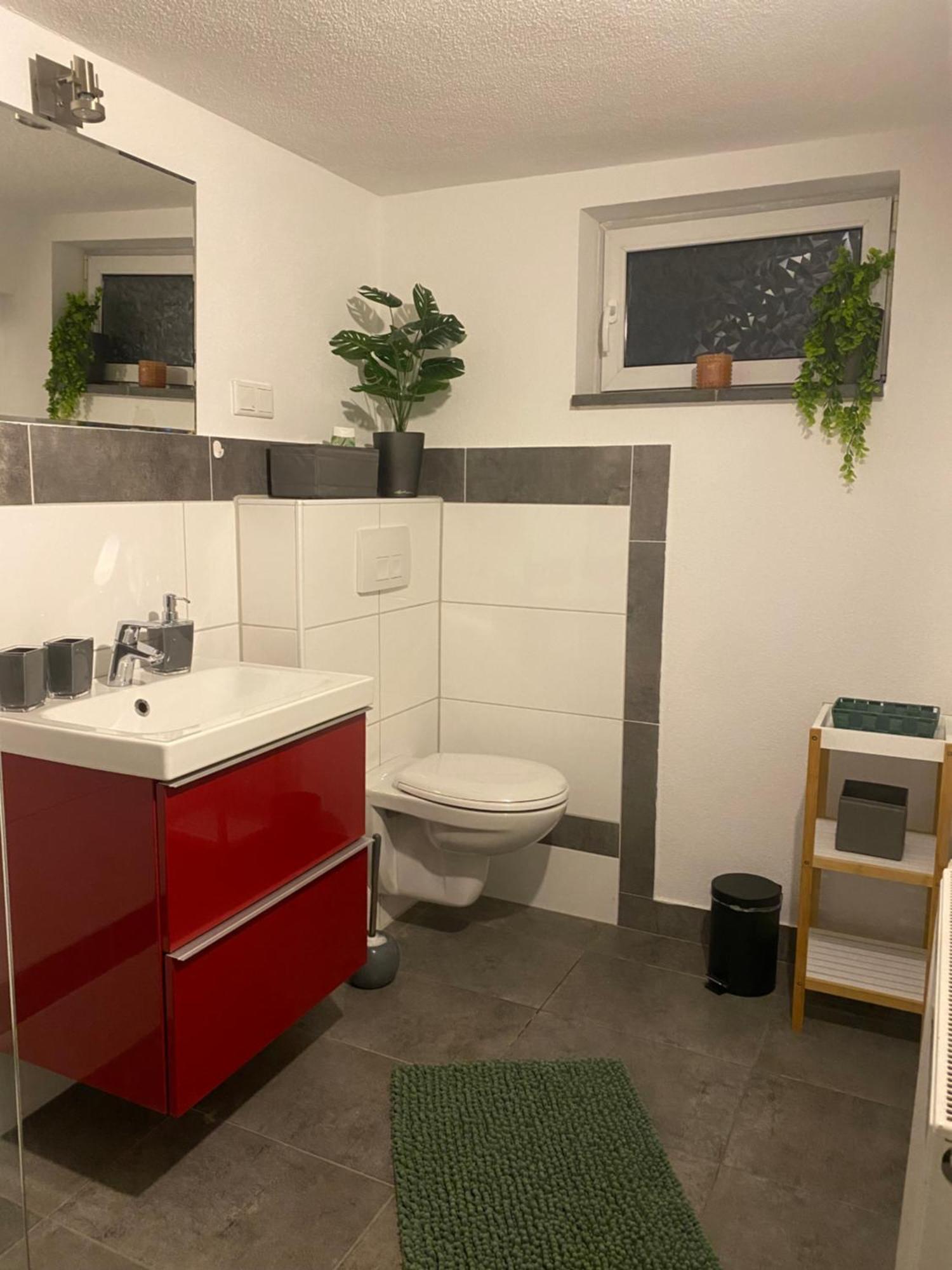 Apartment Roomy Comfort - Zwischen Heidelberg Und Mannheim Edingen-Neckarhausen Екстер'єр фото