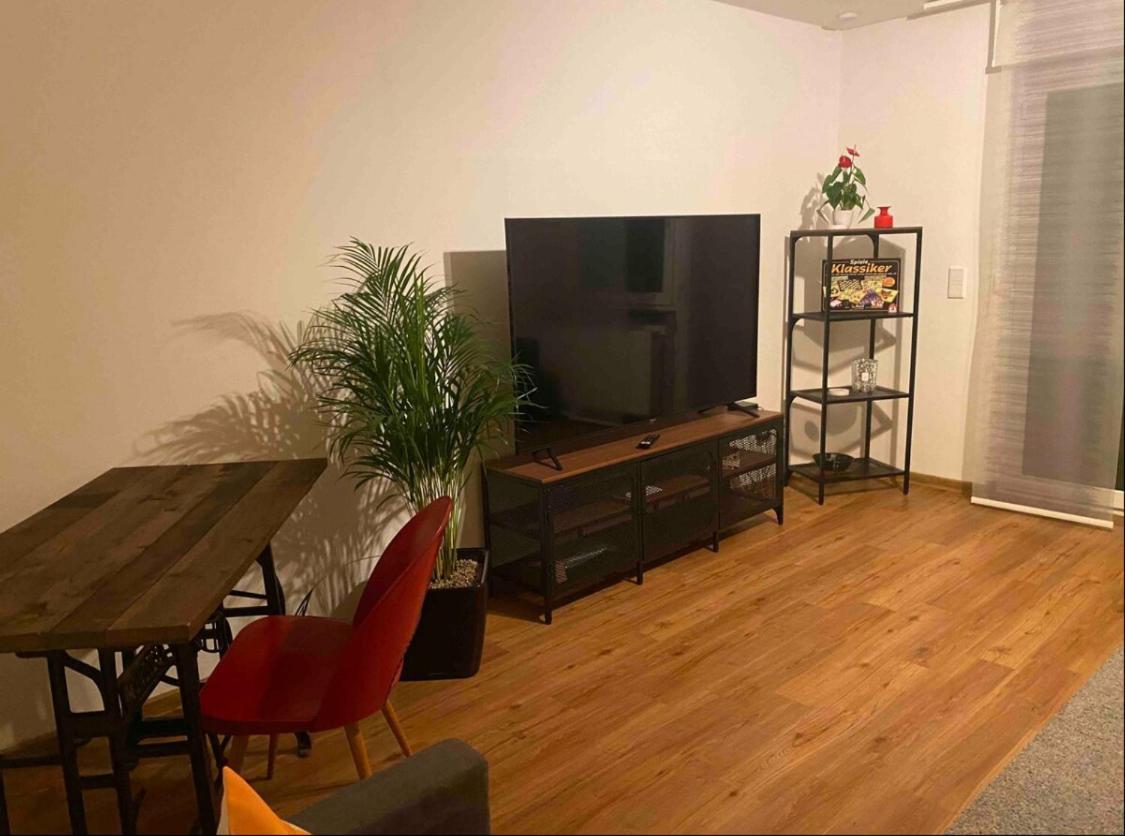 Apartment Roomy Comfort - Zwischen Heidelberg Und Mannheim Edingen-Neckarhausen Екстер'єр фото